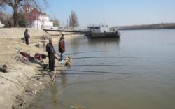 Politistii de frontiera giurgiuveni anunta perioada de prohibitie la peste din 11 aprilie. Ce patesc cei ce risca…