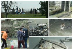 Compania de Apa din Arad a fost amendata pentru poluarea de pe Muresel