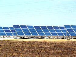 Cel mai mare proiect de energie solara a ucis peste 3500 de pasari in primul an de functionare