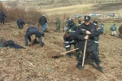 Au plantat pentru viitorul planetei
