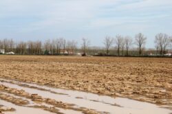 Fermierii vor invata cum sa-si produca propriul biocarburant