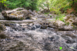 Marian Opran Photography