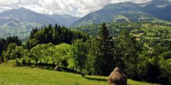 Imbunatatirea legislatiei privind ariile naturale protejate