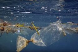 Avertisment la Davos: Pana in 2050, in oceane ar putea fi mai mult plastic decat peste