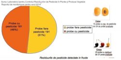 Raport: Pesticidele din hrana bebelusilor: morcovi, caise, patrunjel cu ciprodinil, clorpirifos, carbendazim