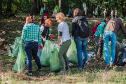 Mobilizare generala de Ziua Curateniei