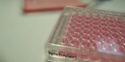 Institutul Wyss de Cercetare in-vitro