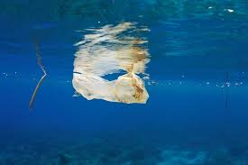 3% din deseurile din oceane sunt alcatuite din pungi de plastic alimentare.