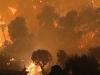 Incendiile de lângă Atena reprezintă adevărate dezastre ecologice, spun experţii
