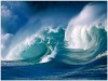 Emisiile de CO2 ameninta viata din oceane