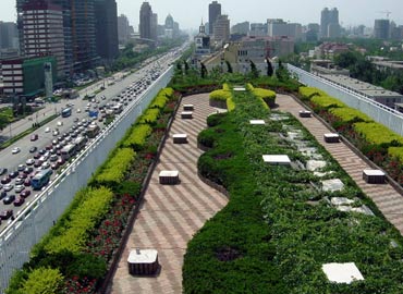 Acoperis verde in Beijing
