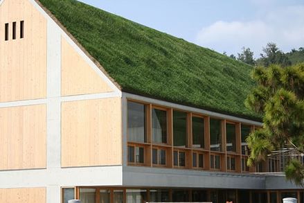 Casa cu acoperis verde abrupt