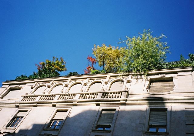 Casa din Milano cu acoperis verde