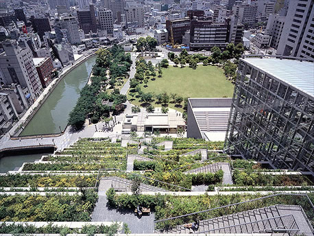 Acoperisul verde al Fukuoka mic