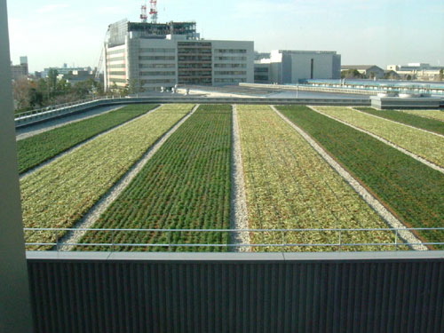 Cladirea Toyota, acoperis verde