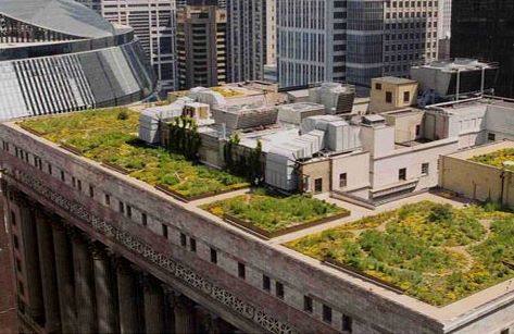 Acoperisul verde al primariei din Chicago