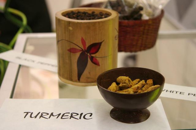 Turmeric BioFach 2008