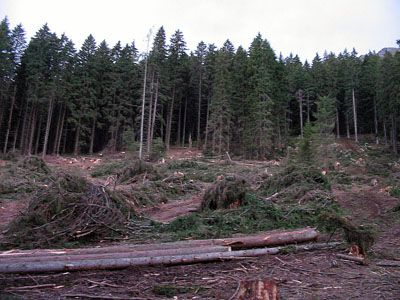 Defrisari in Muntii Piatra Craiului