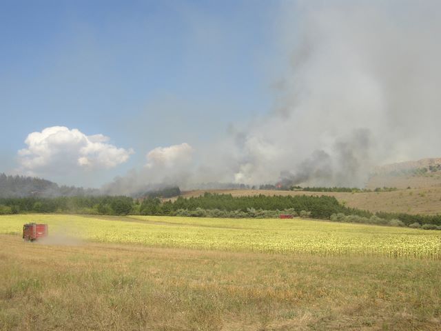 Defrisari 7