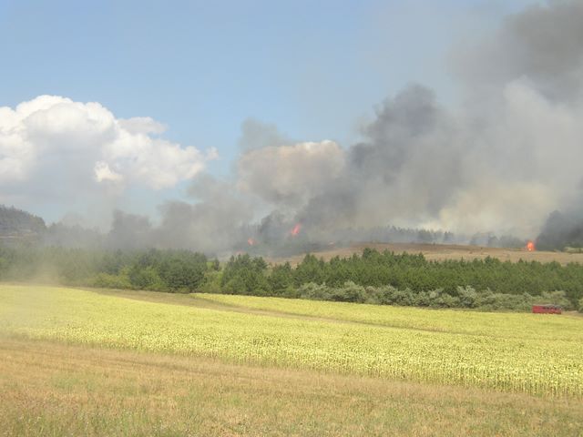 Defrisari Tulcea 3