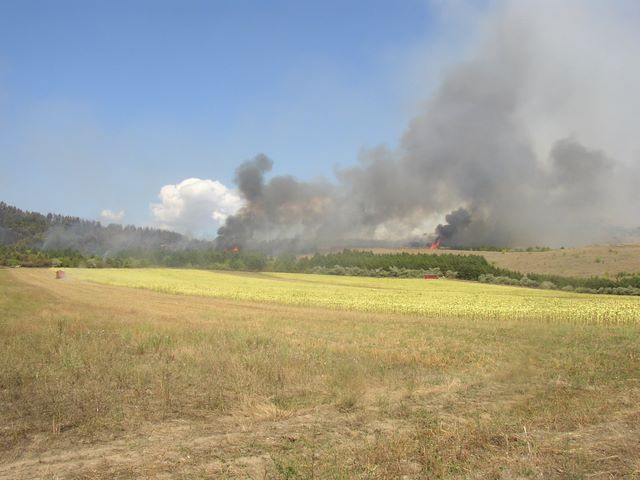Defrisari Tulcea 4