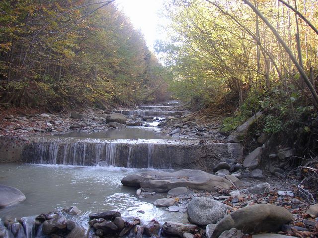 Rau in trepte