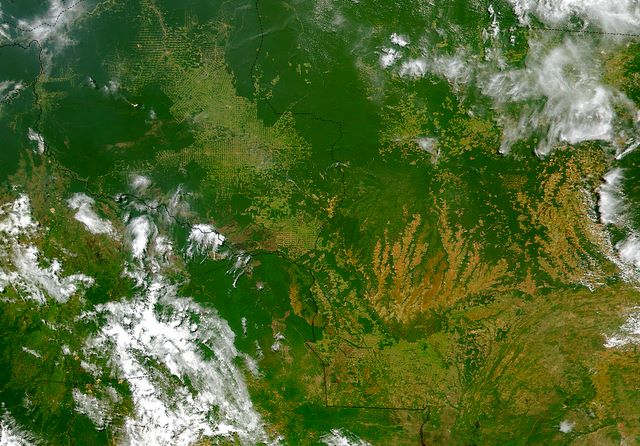 Defrisatile din Baziilia vazute din spatiu