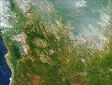 Incendieri pentru agricultura in Africa