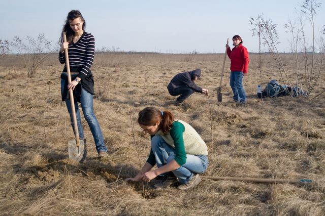Plantare cu voluntari