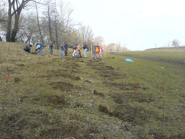 Voluntariat Terra Ecologica