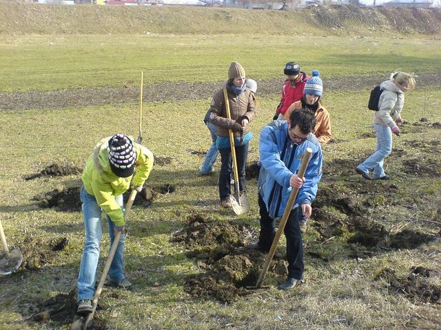 Se planteaza cu spor