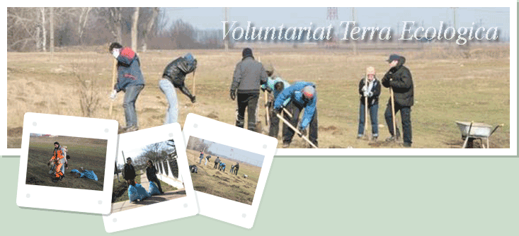 Voluntariat Terra Ecologica