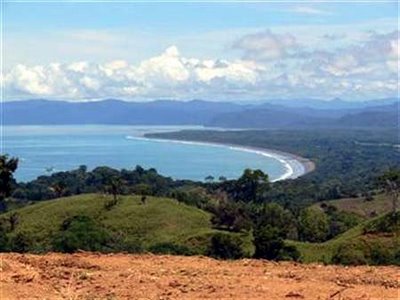 Comunitate ecologica in Costa Rica