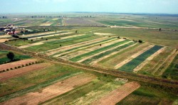 Stelian Fuia, fostul ministru a Agriculturii: "Personal, as miza pe produsele ecologice"