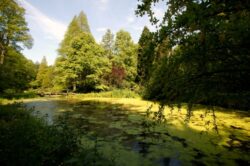 parc dendrologic