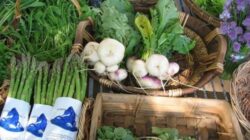 produse eco certificate