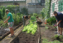 slow food