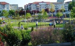 timisoara
