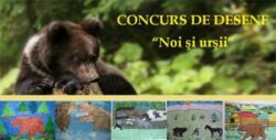 Rezultatele concursului de desene „Noi si ursii”