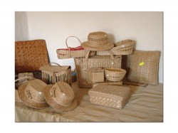 Produse Mahmudia