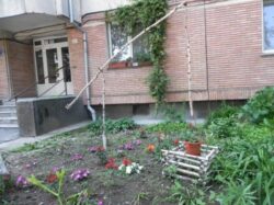 Oradenii pasionati de gradinarit in jurul blocului sunt invitati sa-si inscrie „produsele” in concurs