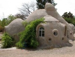 ecodome