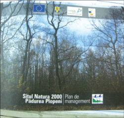 Planul de management pentru ocrotirea Padurii Plopeni