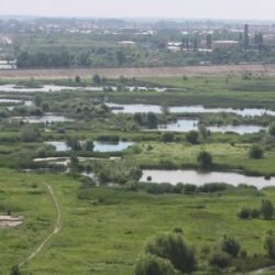 lacul vacaresti