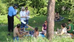 picnic