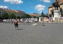 romania salbatica