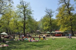 Aproape 7 milioane de lei pentru modernizarea infrastructurii turistice din Padurea Schulerwald