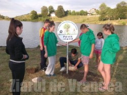 voluntari eco