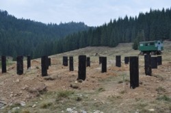 8padis-molhasuri-600x398