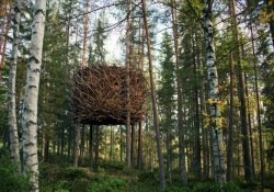 ”Judetul Buzau, taramul unde natura a creat minuni” – Consiliu Judetean la Romexpo